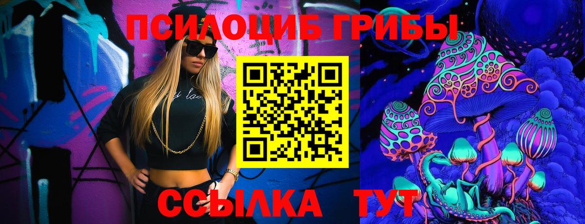 Видное  Псилоцибиновые грибы Psilocybine cubensis  Вход с VPN 